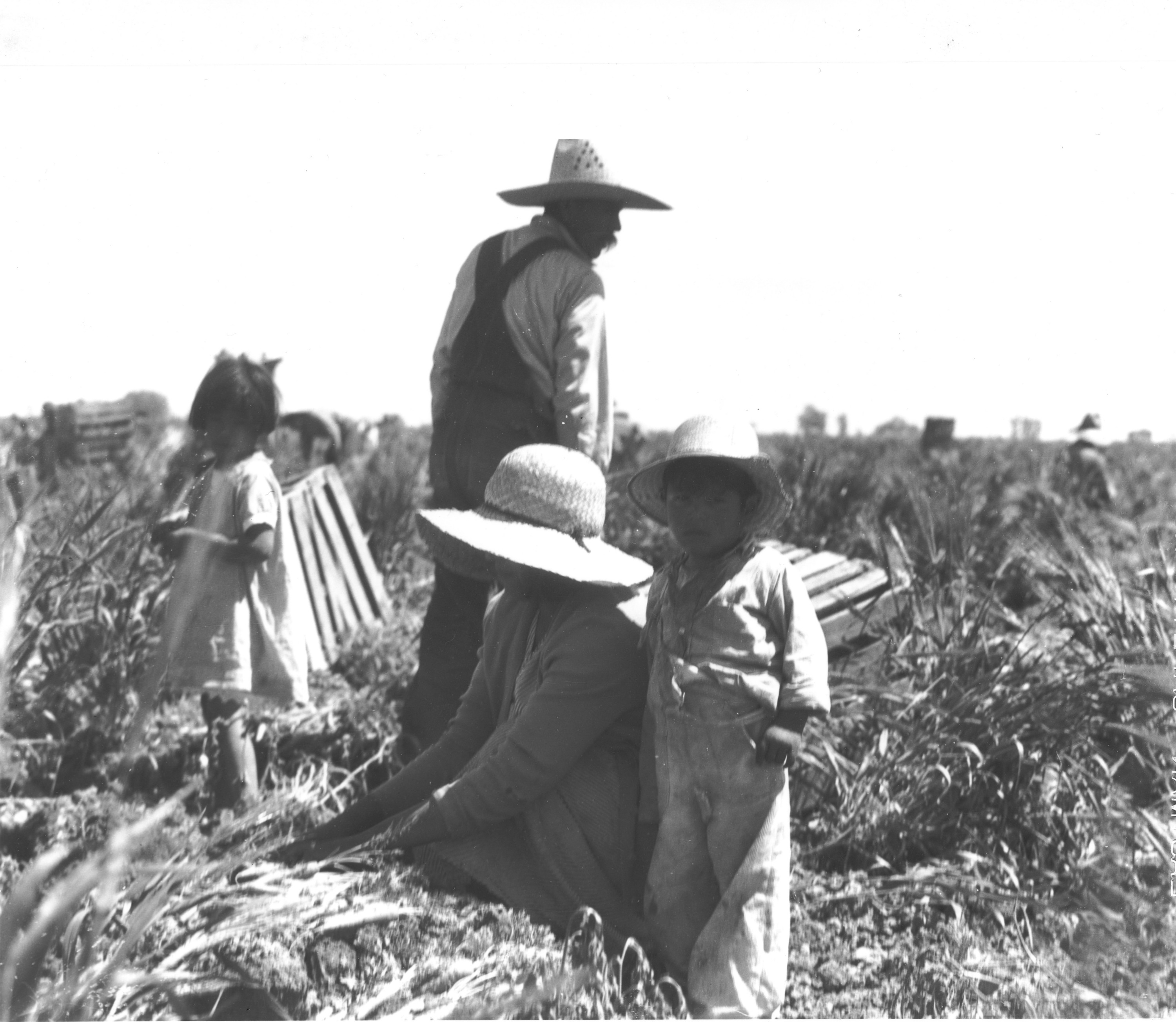 vintage farm workers